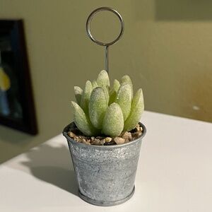 NEW mini artificial succulent in tin pail, photo holder